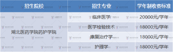 湖北醫(yī)藥學(xué)院藥護(hù)學(xué)院專升本學(xué)費(fèi)按照什么標(biāo)準(zhǔn)收費(fèi)？