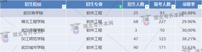 軟件工程武漢傳媒學院錄取率