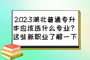 2023湖北普通專升本應該選什么專業(yè)？這些新職業(yè)了解一下
